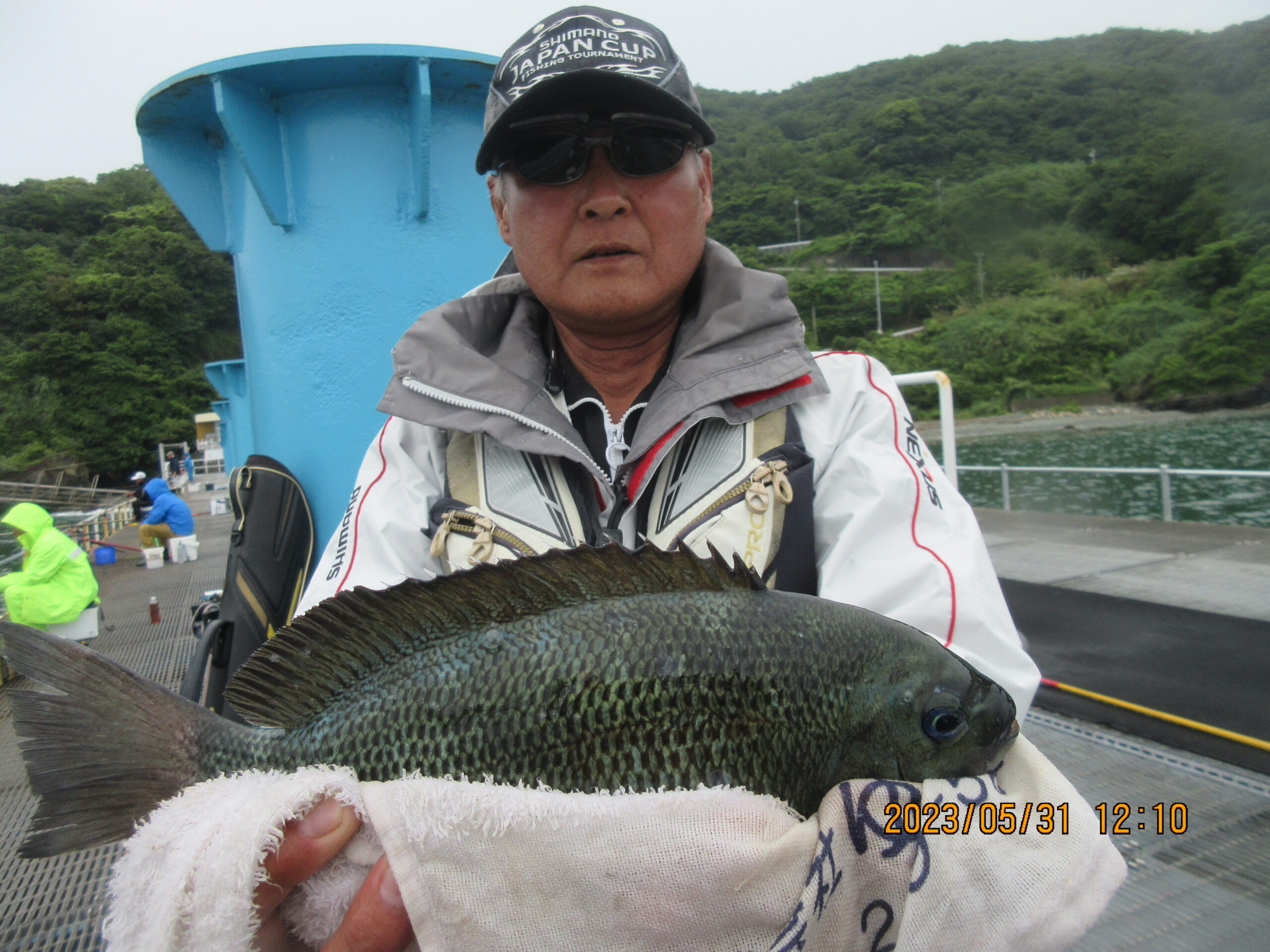 下津 ピアー ランド の 釣り 釣果